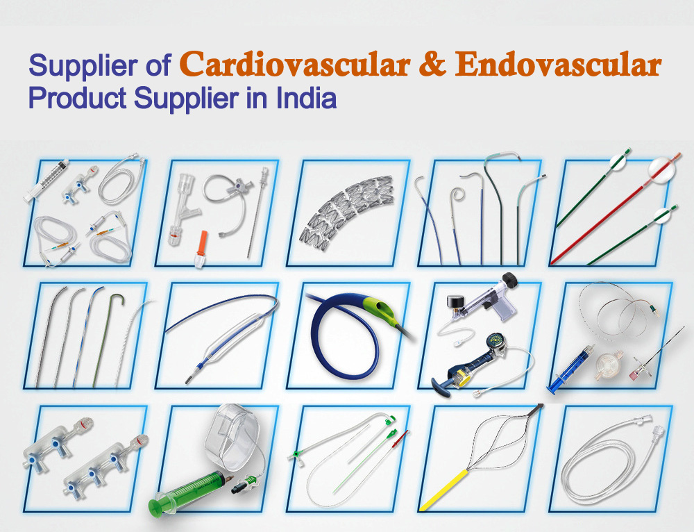 Cardiovascular & Endovascular Product Supplier in North India